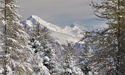 ZUC DI VALBONA - FOTOGALLERY